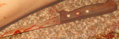 A kitchen knife